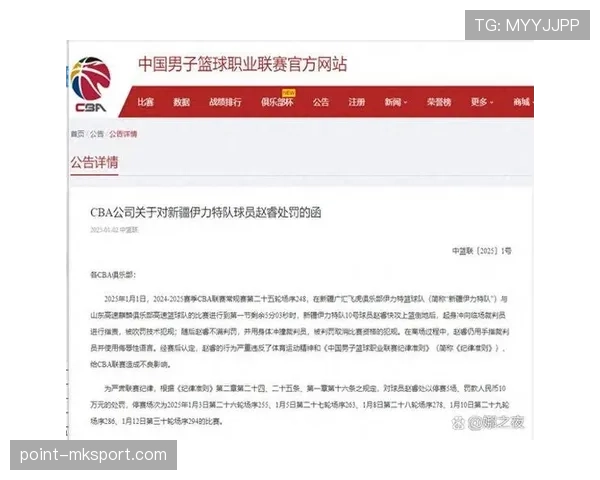 犯规次数限制规则解析职业联赛怎么判定与影响 犯规次数限制规则解析职业联赛怎么判定与影响