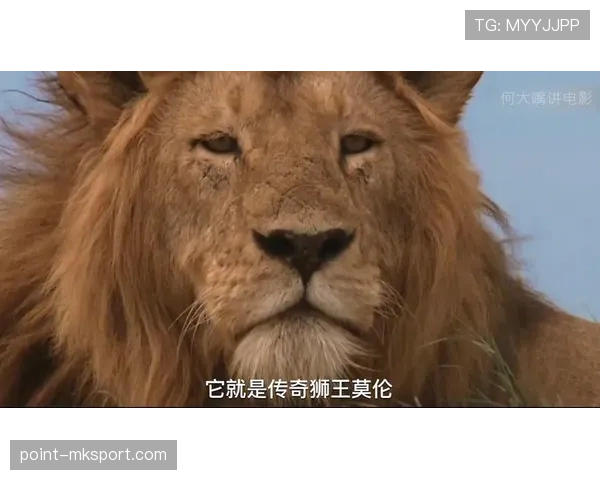 巴拿马挑战英格兰胜算有多大？